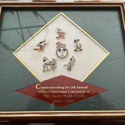 Framed Commemorative Disney Pins