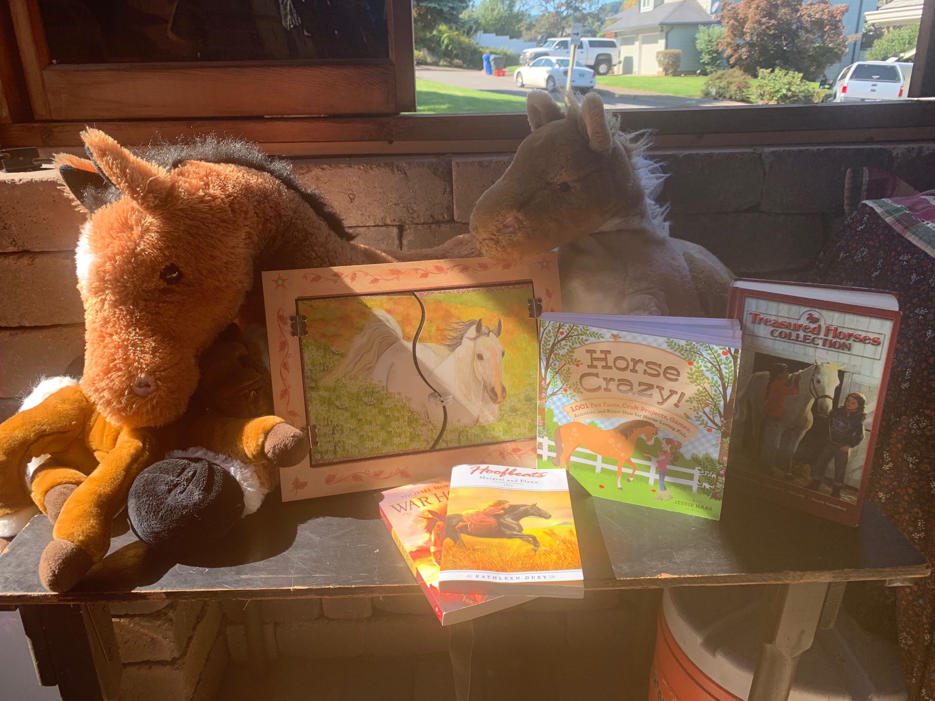 Horse stuffed animal and book collection