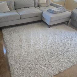 Shag rug