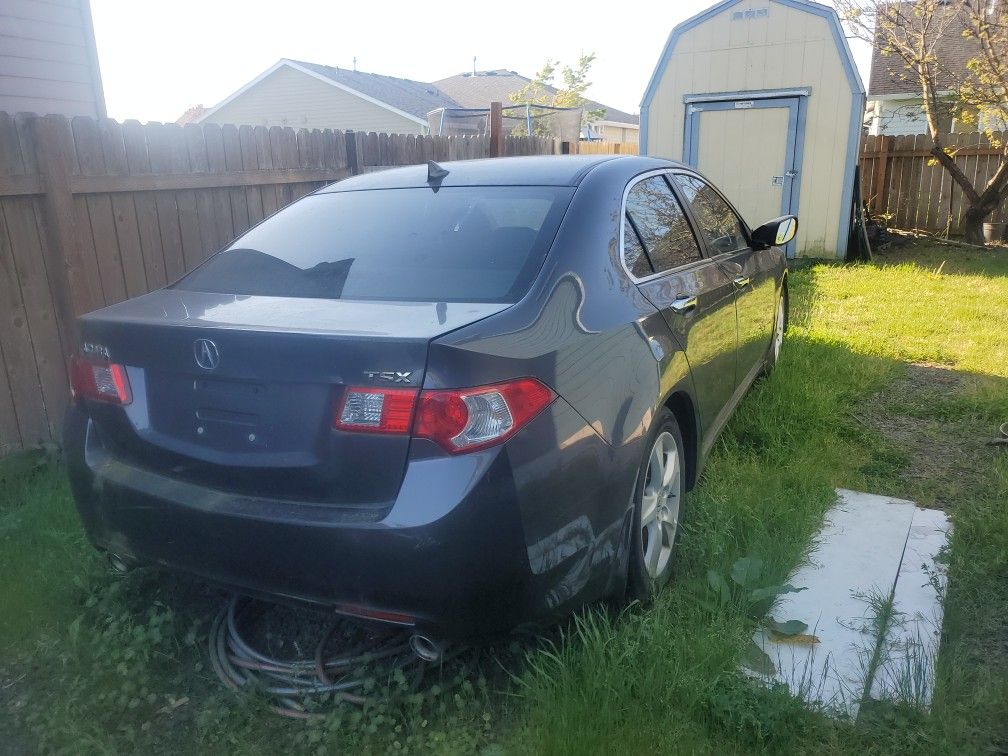 Parting Out Acura 2009 Acura Tsx Teck Pakage Have Most Parts
