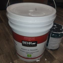 Pintura Con Primer  Blanca