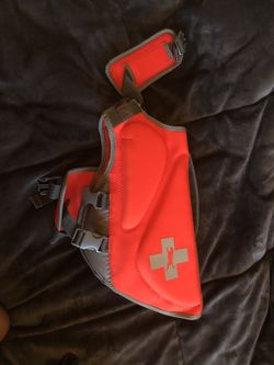 Large doggie life jacket