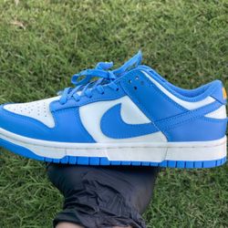 Nike Dunk Low “Coast” (White/Coast/University Gold/blue)