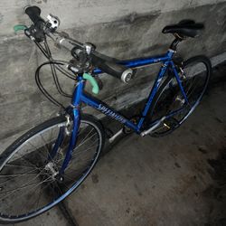 Specialized Sirrus Plus