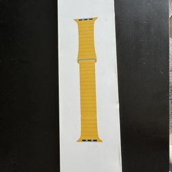 Apple Leather Band