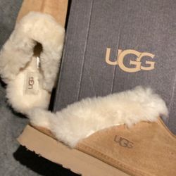 Ugg Slippers
