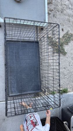 Dog metal cage
