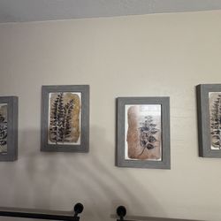 Set of 4 Framed Botanical Prints 