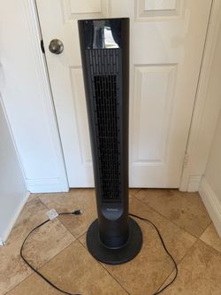 Fan