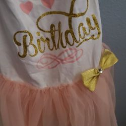 Dog Birthday Dress