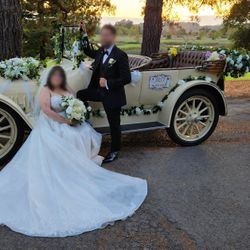 Luxury Wedding Car Decoration Set – Full Setup Ready