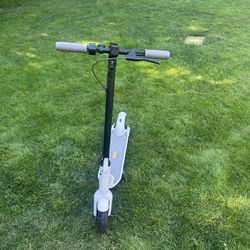Segway Scooter