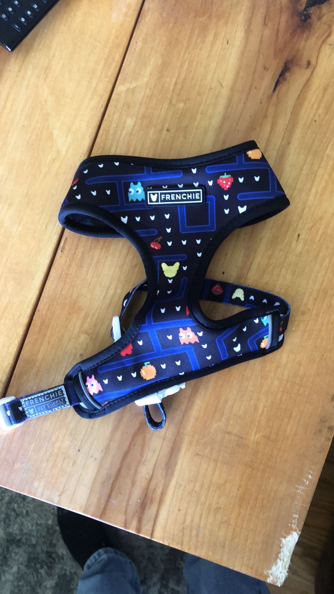 Frenchie Bulldog Harness New