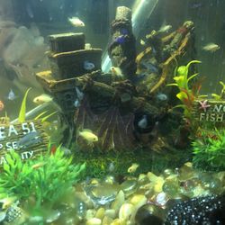 Fish Tank Decorations 