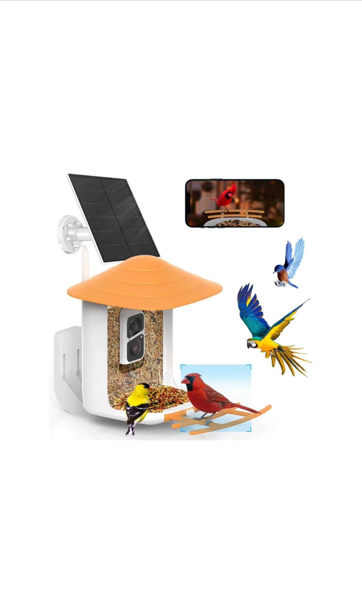 Wireless Video Camera Bird Feeder