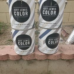 Jeff Lewis Color Designer Paints Grey.