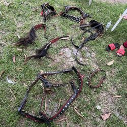 horse harness