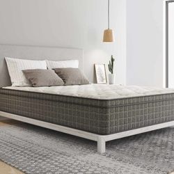 Brand New Queen Mattress