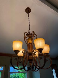 5-Light Bronze Chandelier with Glass Shades