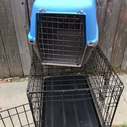 Pet Items All For $40 Obo 3 Items Ready To Go I Can Sell Separate Items Too 