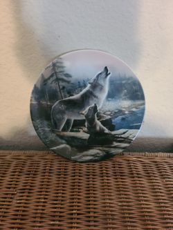 porcelain collectors plate