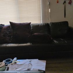 Very Exclusive Couch