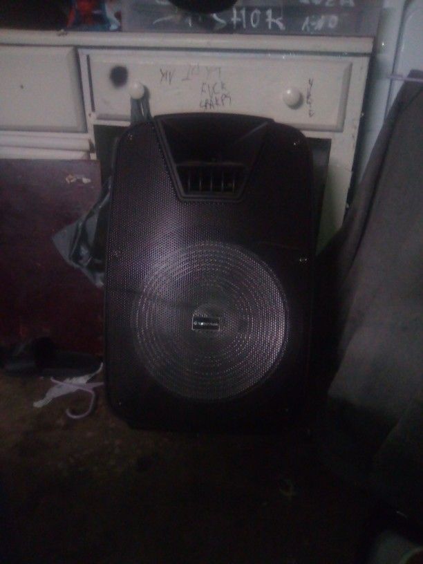 Big Speaker Works Good And Very Loud 
