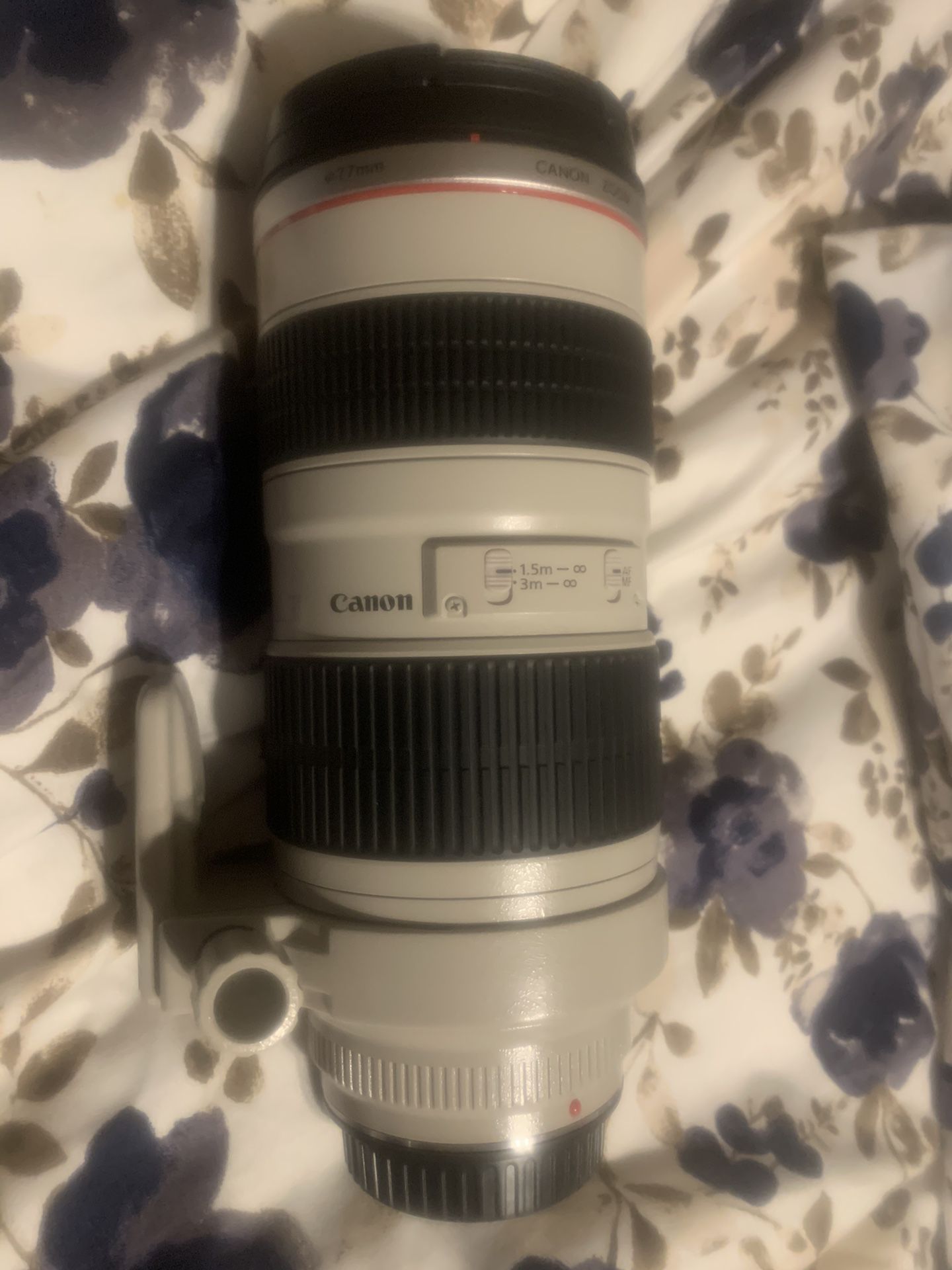 Canon 70-200 1:2.8 EF lens