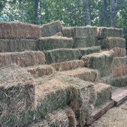 Hay/Alfalfa 