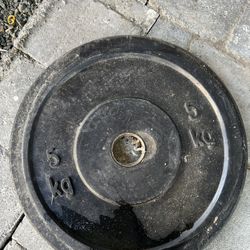 Bumper Plates 