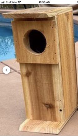 Owl/Bird House