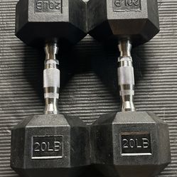 20lb Hex Rubber Dumbbell Pair - NEW