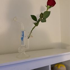 Zob Inline Glass Flower Vase