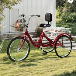 Tricycle Adulto Like New 