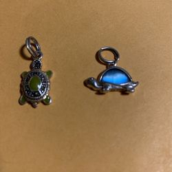 Silver Charms
