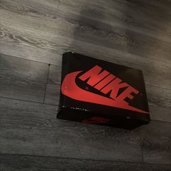 Jordan 1s Patient Bred