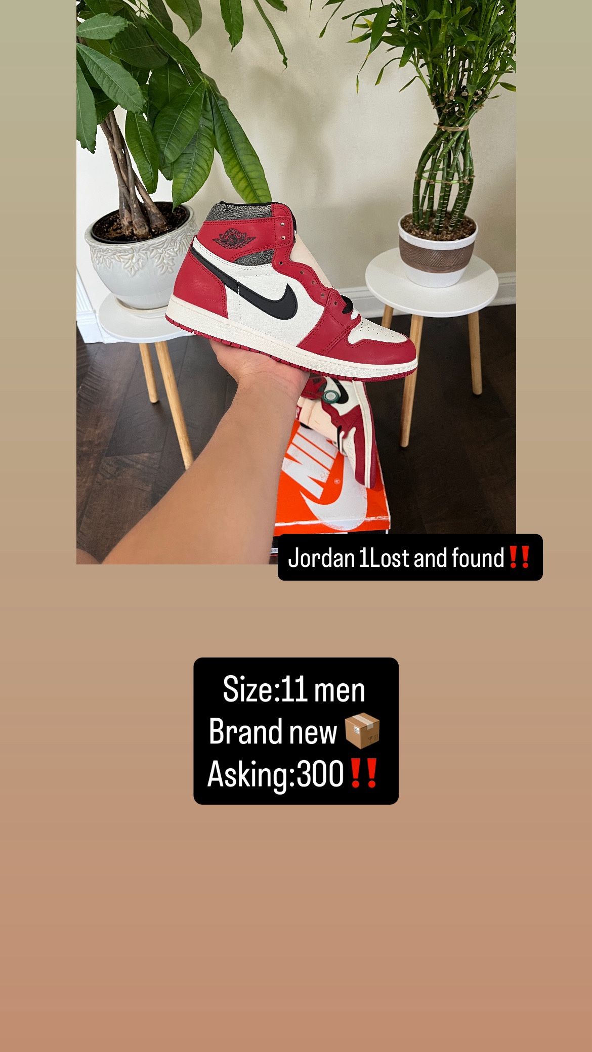 Jordan 11