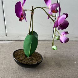 Purple Pink Orchid Flower Decoration With Black Vase