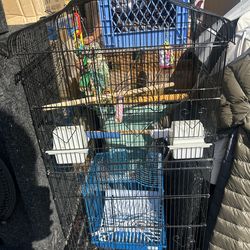 Tall, black metal bird cage