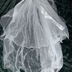 Veils 