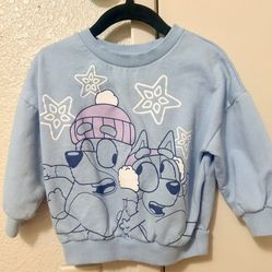 Bluey Sweater