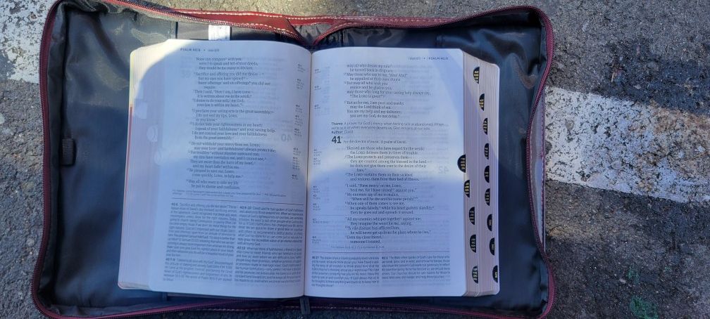 NIV Study Bible Large Print With Case.