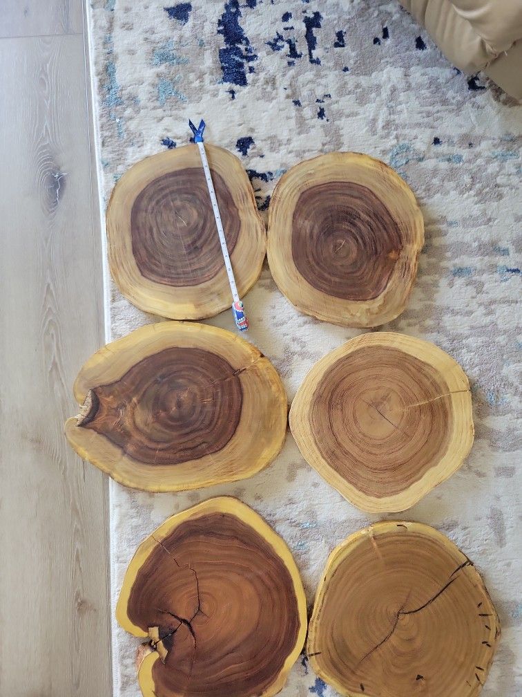 Solid Wood Slices