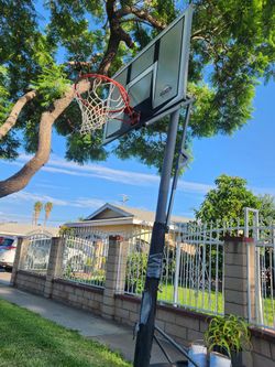 Basquetball Lifetime