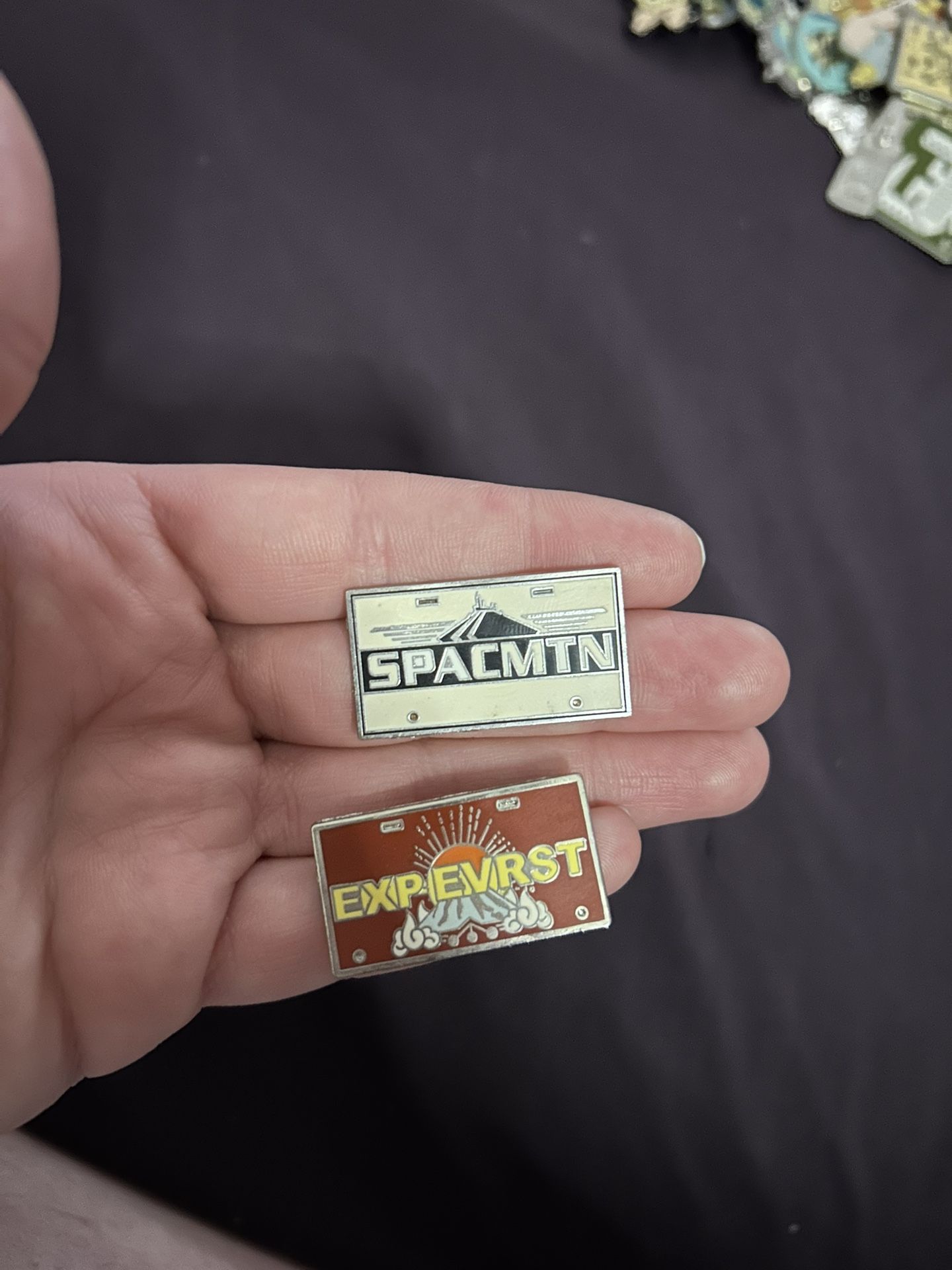 Disney Ride License Plate Pins! 2 Out Of 4.