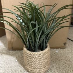 Tabletop Artificial Grass Plants 11” Height