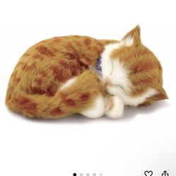 Perfect Petzzz Cat And Bed