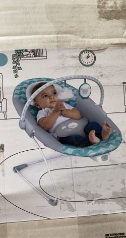 Baby Bouncer 