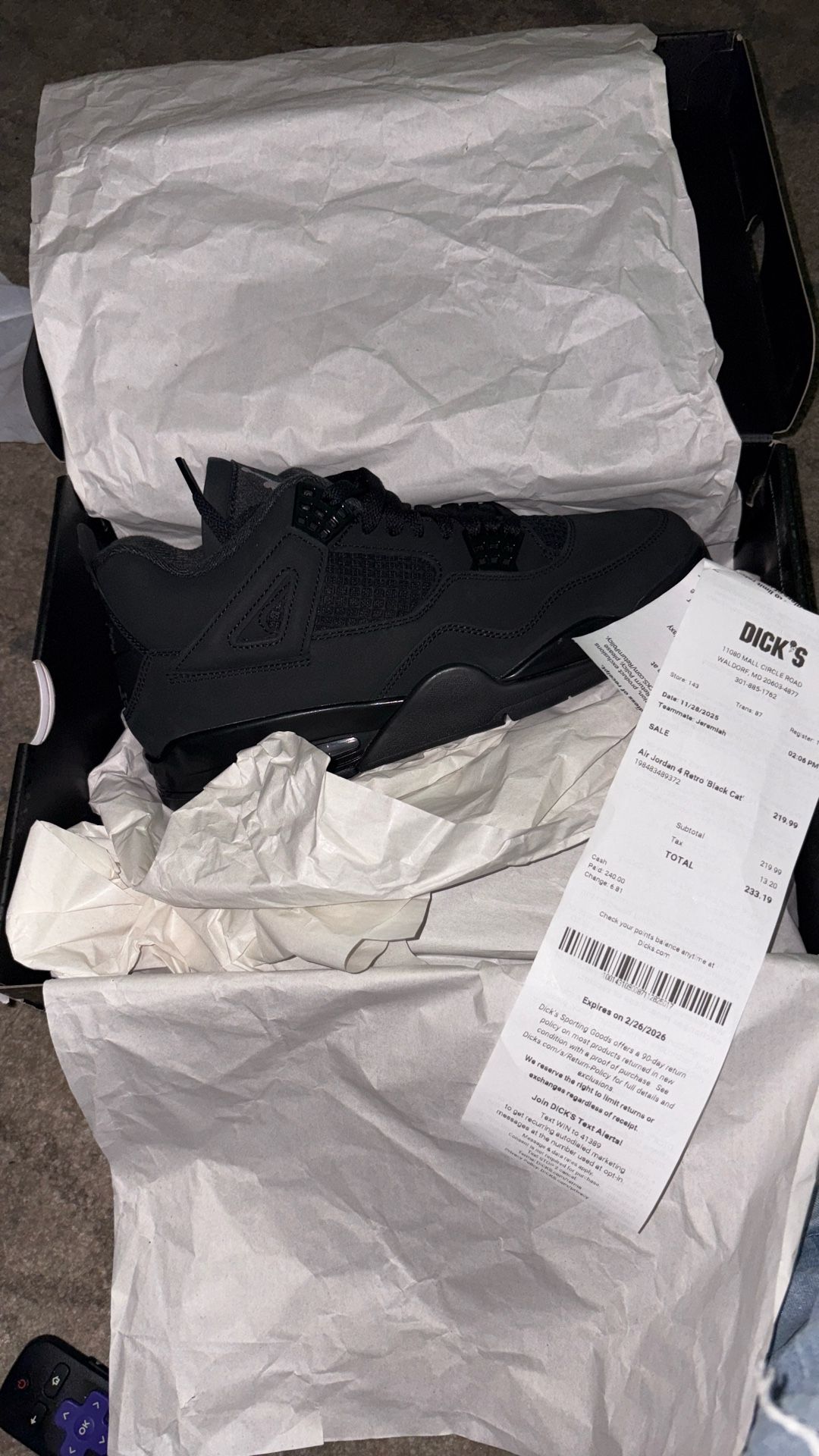 Black Cats Brand New