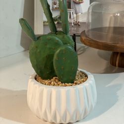 Ceramic Faux Cactus Plant